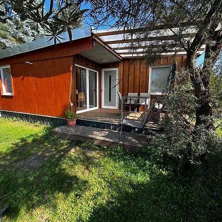 Ferienhaus Zeulenrodaer Meer Екстер'єр фото