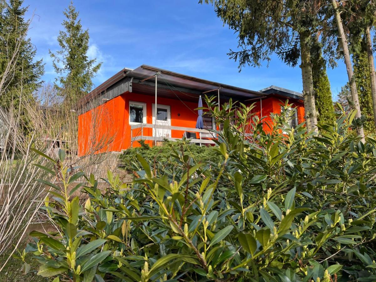 Ferienhaus Zeulenrodaer Meer Екстер'єр фото